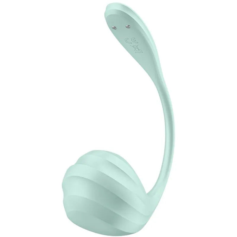 Sextoy portable Satisfyer stimulateur de point G silicone doux app gratuite design discret rechargeable femme couple