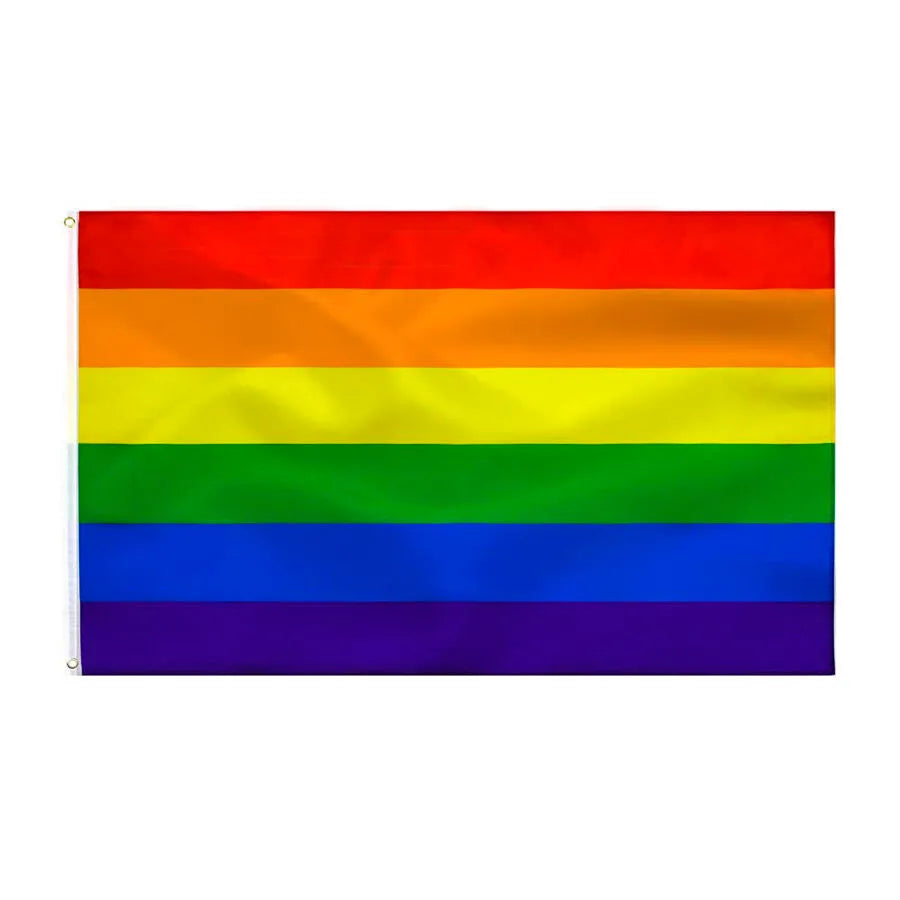 Drapeau Fierté Arcenciel 90x150cm Couleurs Vives Durable Résistant Extérieur Intérieur Inclusion Diversité Visibilité Festivals Parades Maison Décoration