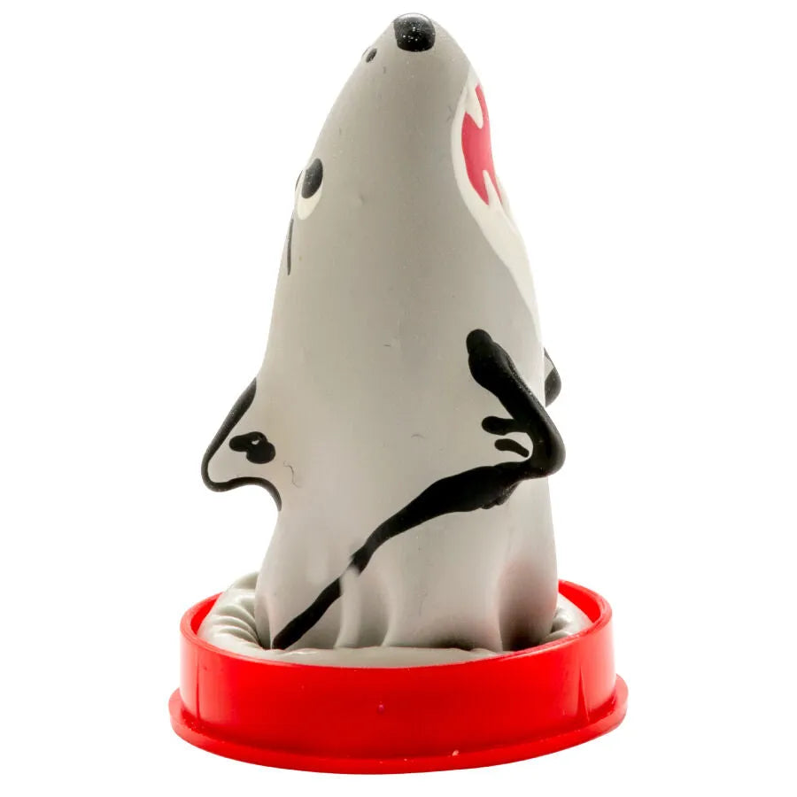 Préservatif fantaisie peint à la main, motif requin gris avec détails noirs et rouges, sur support rouge.