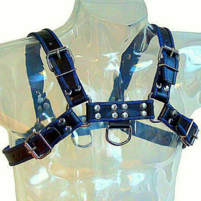 harnais cuir masculin poitrine bulldog bleu noir sangles réglables chaînes métalliques tailles S XL confort ajustable bondage domination esthétique robuste