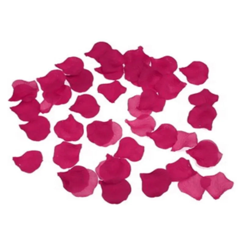 Pétales De Rose Fuchsia Érotiques