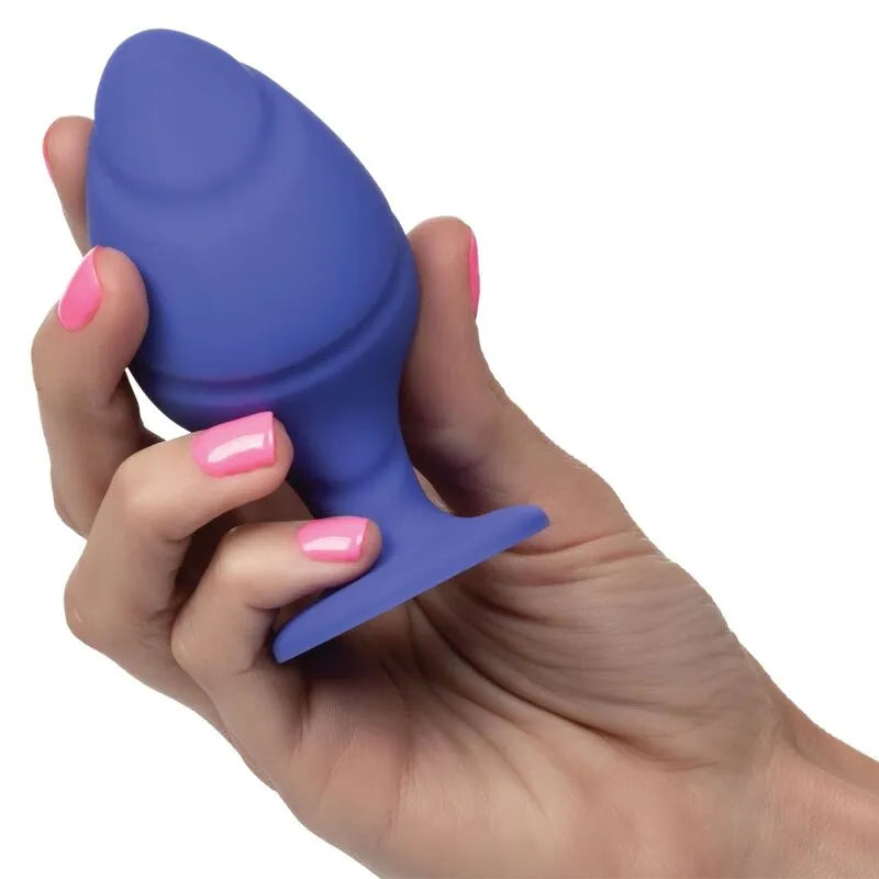 Plug Anal En Silicone Avec Ventouse