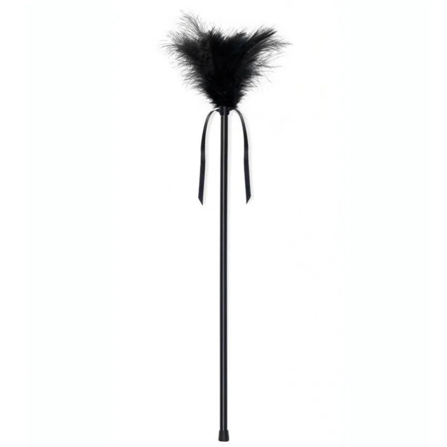 Plume Érotique Massage Peau Noire