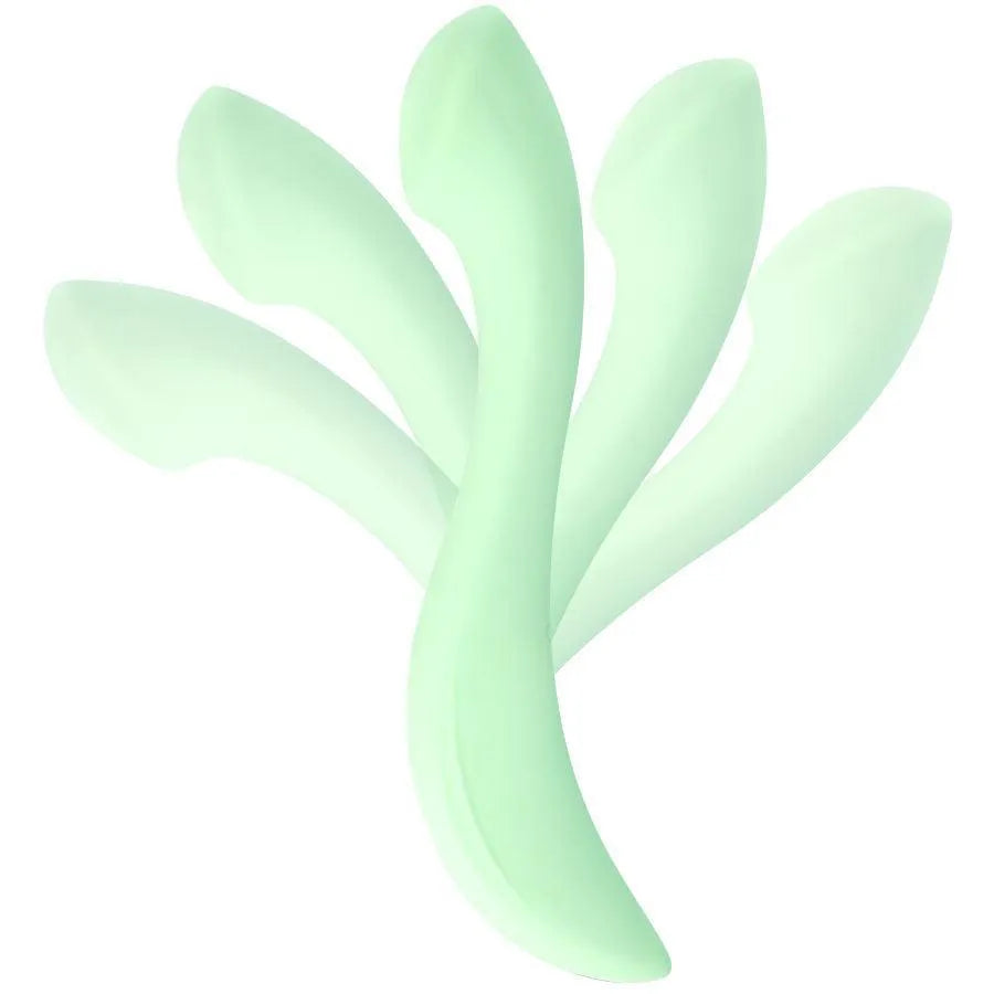 Vibromasseur Point G Silicone Médical Rechargeable